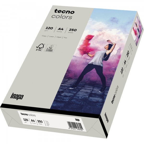 inapa tecno Kopierpapier colors 2100011337 A4 120g grau 250Bl./Pack