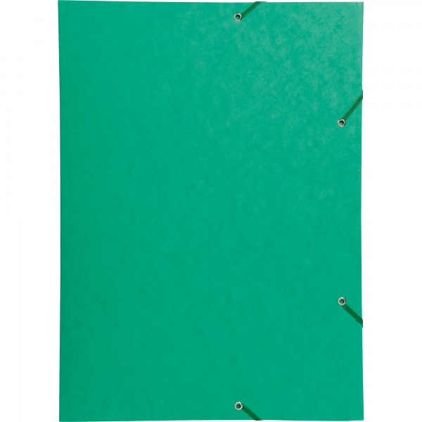 Exacompta Sammelmappe Nature Future 59515E DIN A3 600g Karton grün