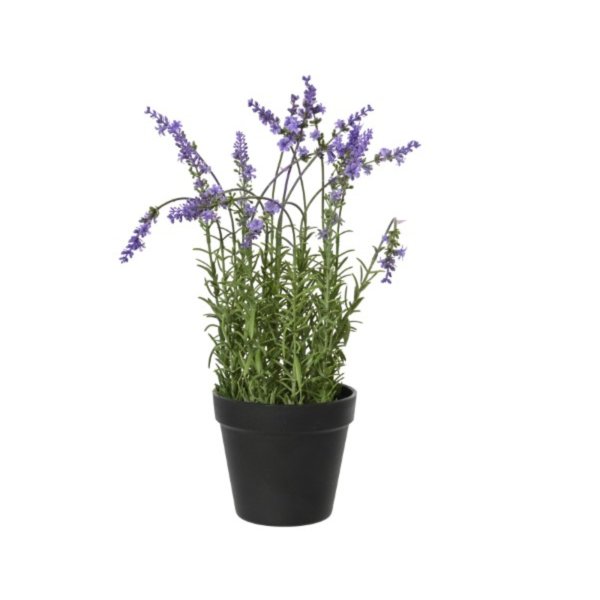 DECORIS Lavendelpflanze 22x 37cm