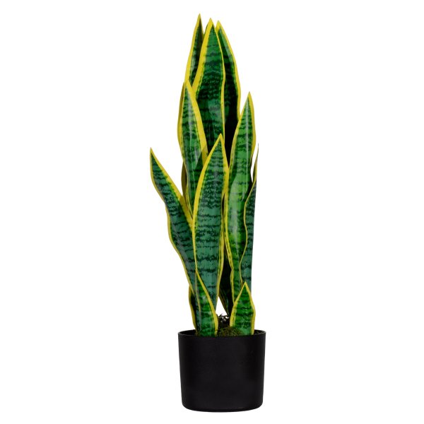 Paperflow Kunstpflanze Sansevieria 65cm