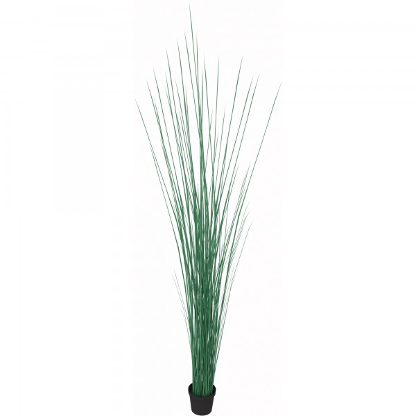 Kunstpflanze Seegras Höhe 1550mm Kunststofftopf