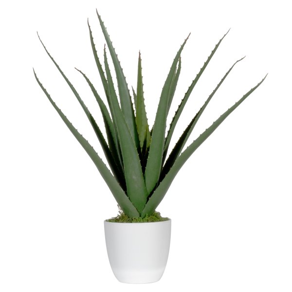 Paperflow Kunstpflanze Aloe Vera 45cm