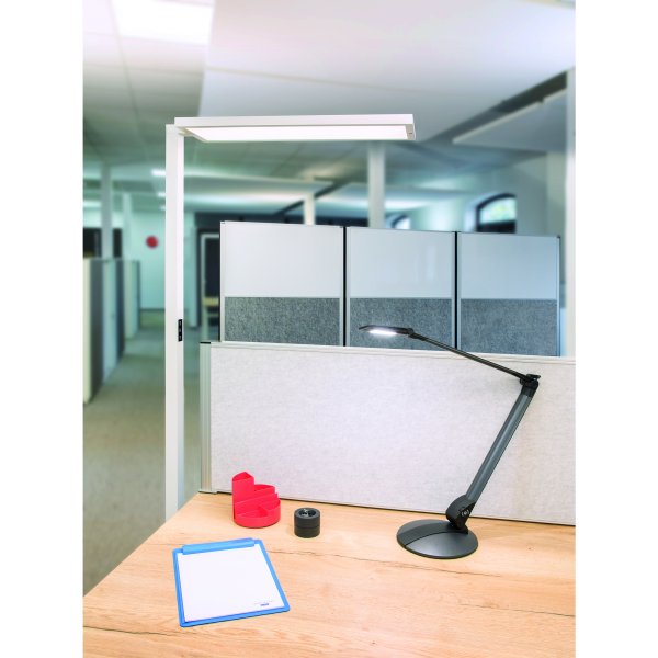Maul Standleuchte MAULsenja LED ws