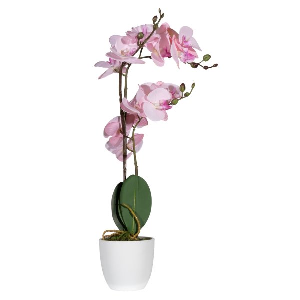 Paperflow Kunstpflanze Orchidee ro 40cm