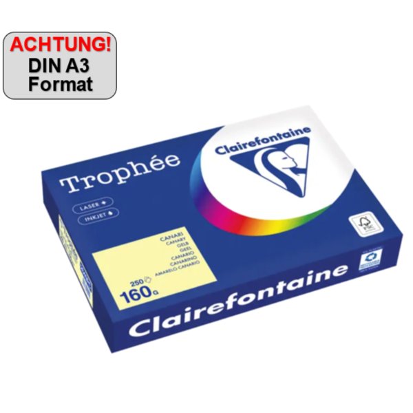 Clairefontaine Kopierpapier A3 160g ge 250Bl