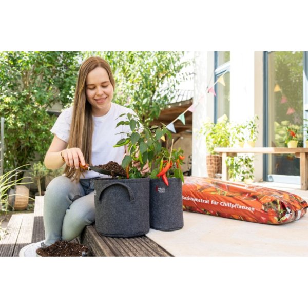Floragard Basissubstrat Chilipflanzen 3x20l