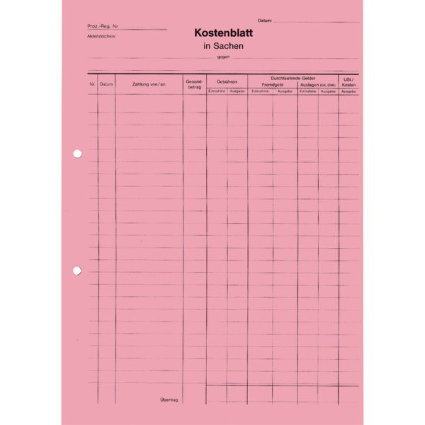 SoldanPlus Kostenblatt A4 rt 100St