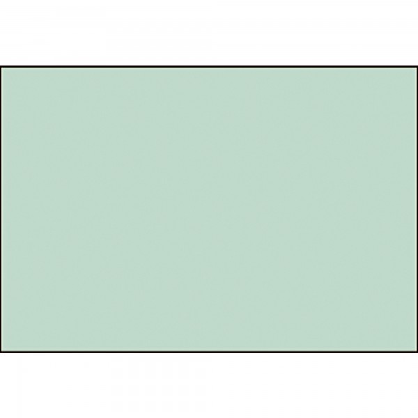 BRUNNEN Karteikarte 102250050 DIN A5 blanko gn 100 St./Pack.