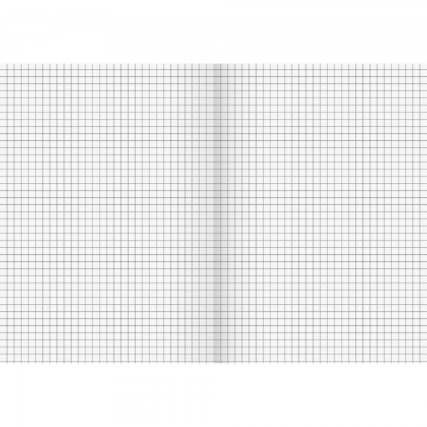 BRUNNEN Schulheft 104430702 DIN A4 Lin7 32Blatt kariert