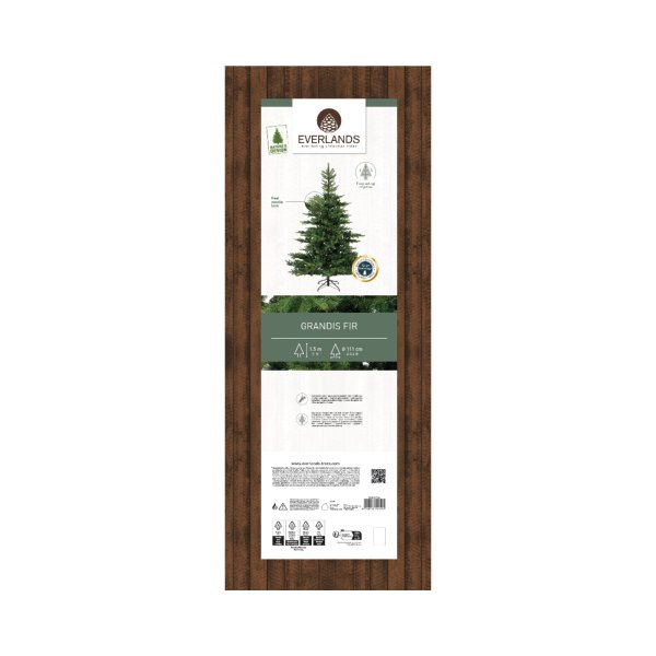 Everlands Weihnachtsbaum Grandis Tanne 111x150cm