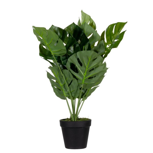Paperflow Kunstpflanze Monstera 45cm