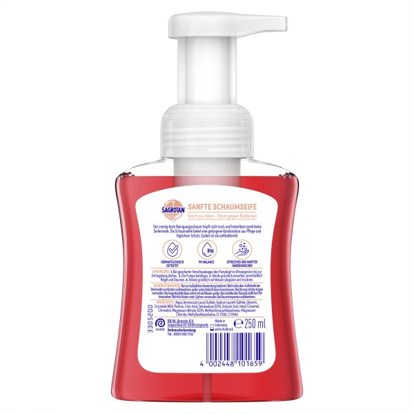 Sagrotan Schaumseife Kirschblüte+Rose 250ml