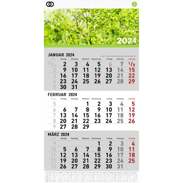 Soennecken Dreimonatswandkalender oeco 2024 5102-24 29,6x49cm