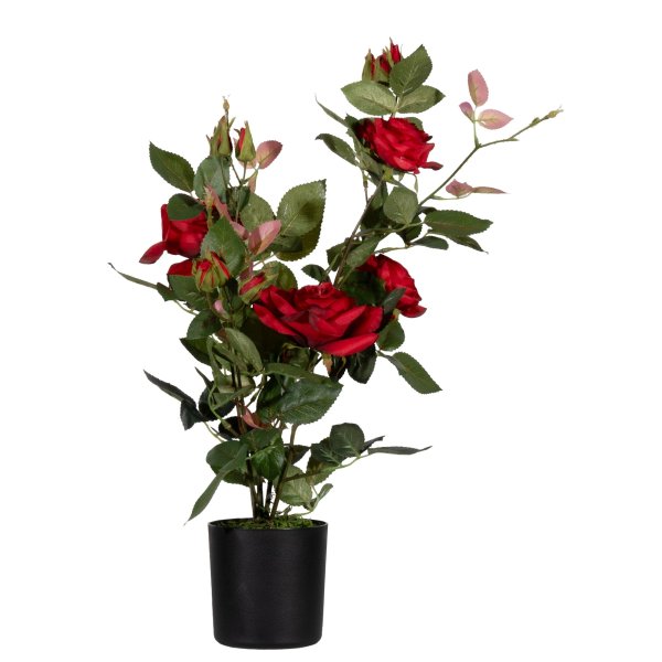 Paperflow Kunstpflanze Rosenstock rt 54cm