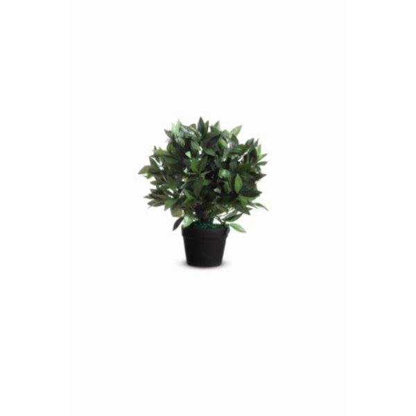 Paperflow Kunstpflanze Loorbeerbaum 50cm