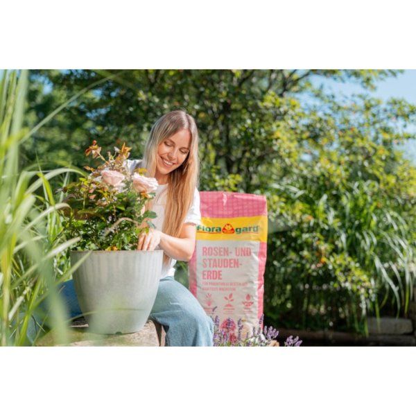 Floragard Blumenerde Rosen 3x18l