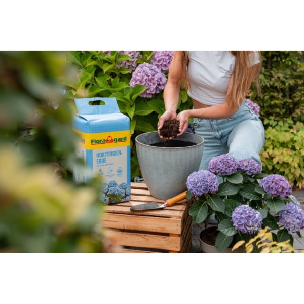 Floragard Gartenerde Hortensien blau 3x25l