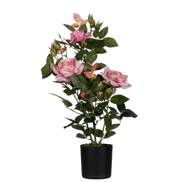 Paperflow Kunstpflanze Rosenstock ro 54cm