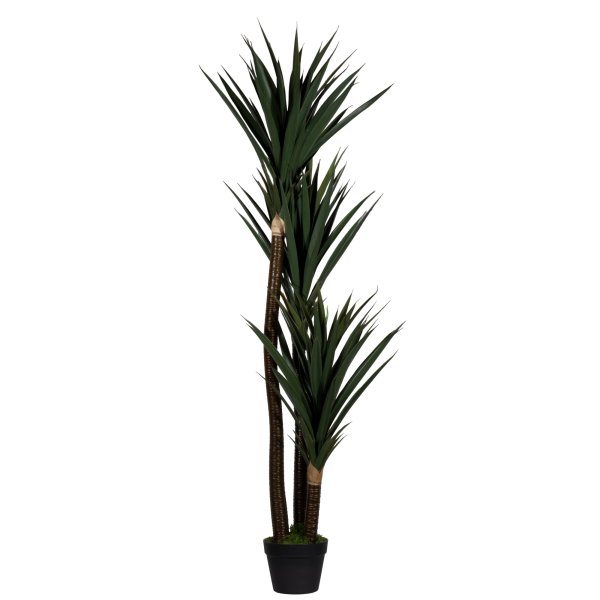 Paperflow Kunstpflanze Yucca 150cm