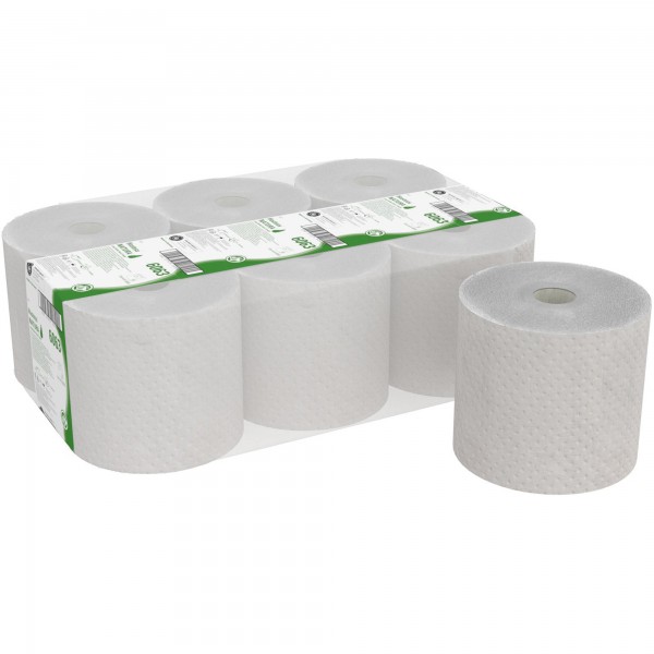 HOSTESS Papierhandtuch NATURA 6063 1lagig 180m 6 Rl./Pack.