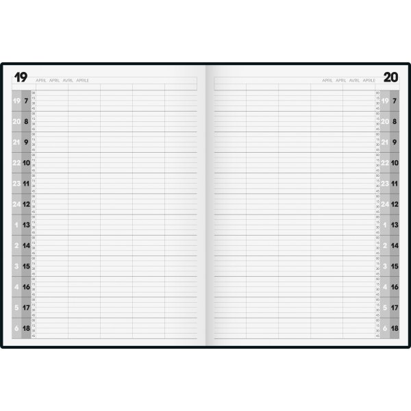 BRUNNEN Buchkalender Agenda 24 1078811 A4 1T/1S sw