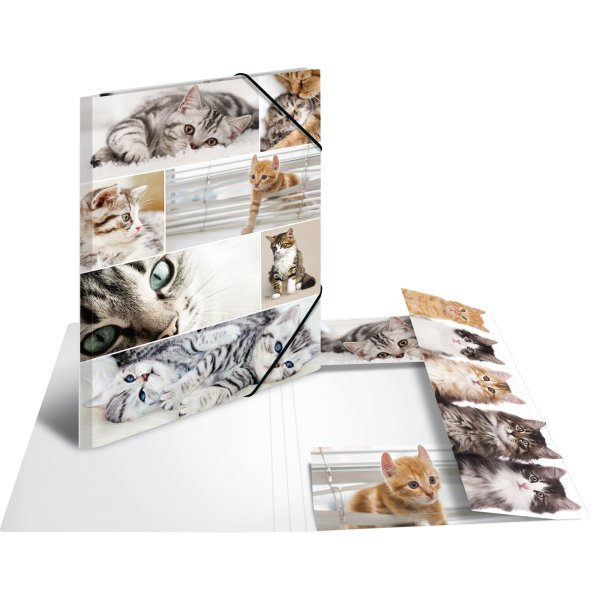 HERMA Sammelmappe A3 Katzen