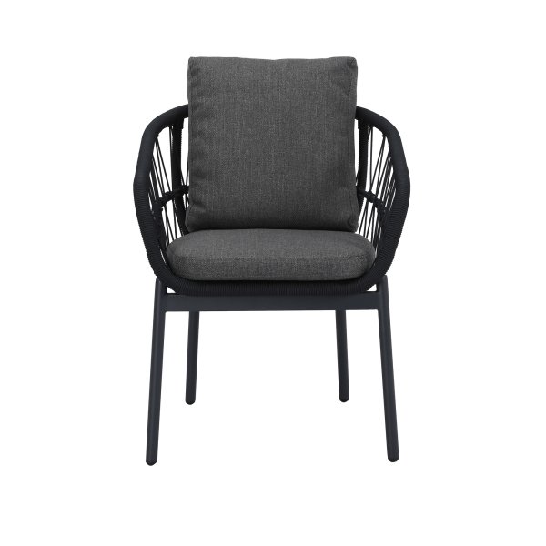 barths Stuhl Tropea anthrazit 2St