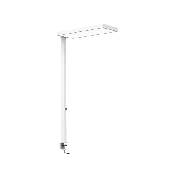 MAUL Tischleuchte MAULjura LED ws