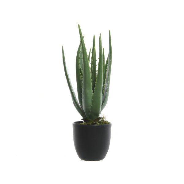 DECORIS Kunstpflanze Aloe Vera im Topf