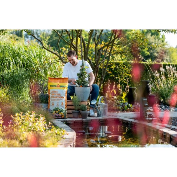 Floragard Blumenerde Zitrus & Kübel 3x10l