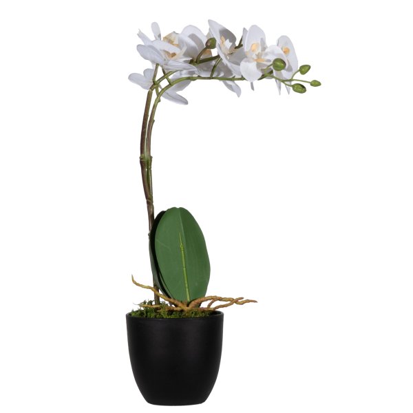 Paperflow Kunstpflanze Orchidee ws 40cm