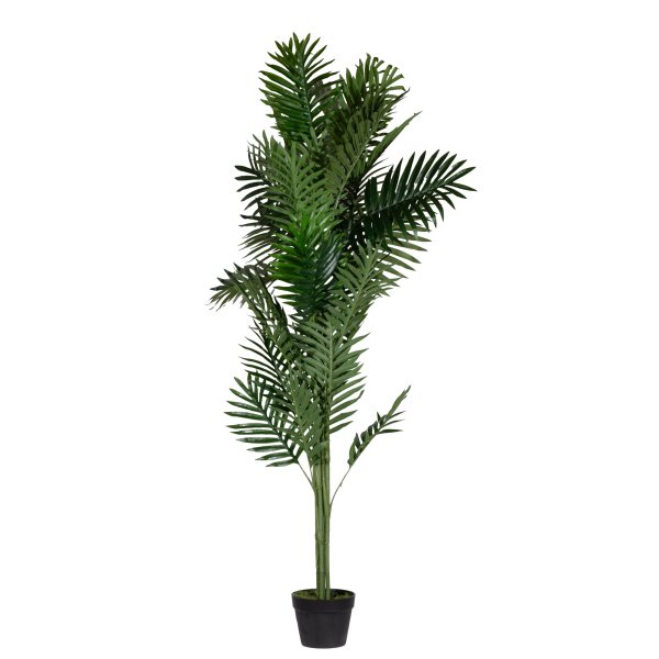 Paperflow Kunstpflanze Palme 160cm
