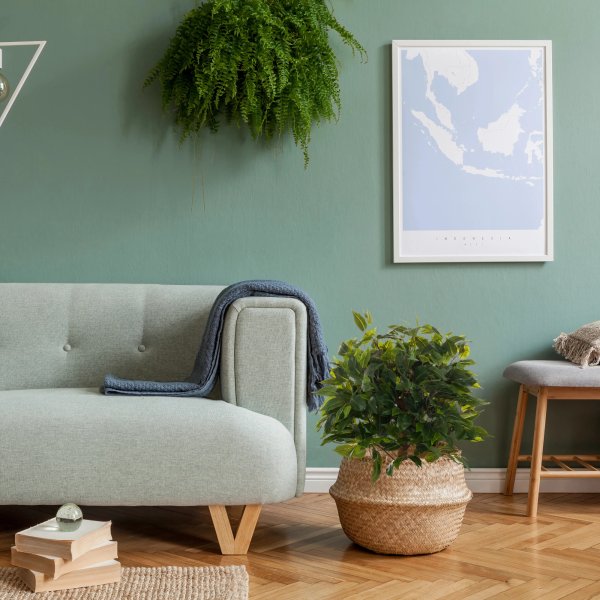 hjh OFFICE Kunstpflanze Ficus
