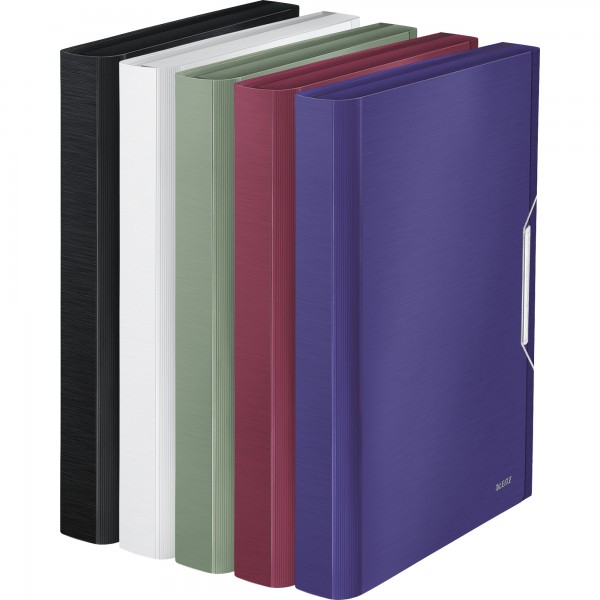 Leitz Fächermappe Style 39570004 DIN A4 6Fächer PP arktik weiß
