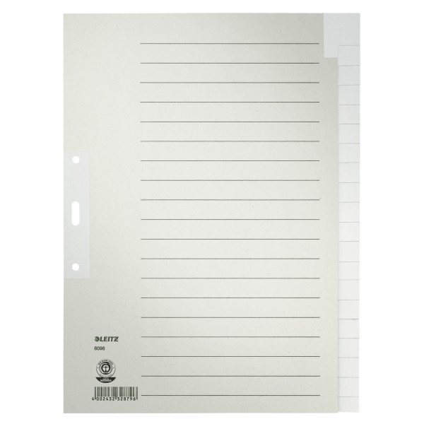 Leitz Register 60960085 blanko DIN A4 Tauenpapier grau