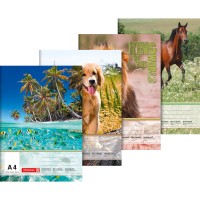 BRUNNEN Zeichenblock 1047914 DIN A4 2-seitig perforiert 20Blatt BRUNNEN Zeichenblock 1047914 DIN A4 2-seitig perforiert 20Blatt