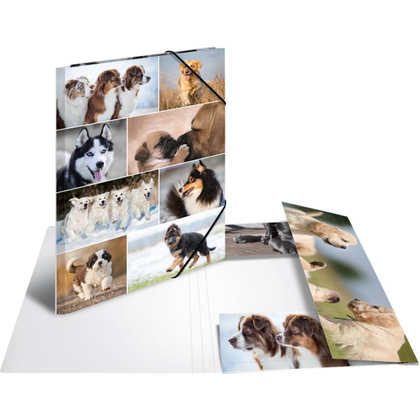 HERMA Sammelmappe A3 Hunde