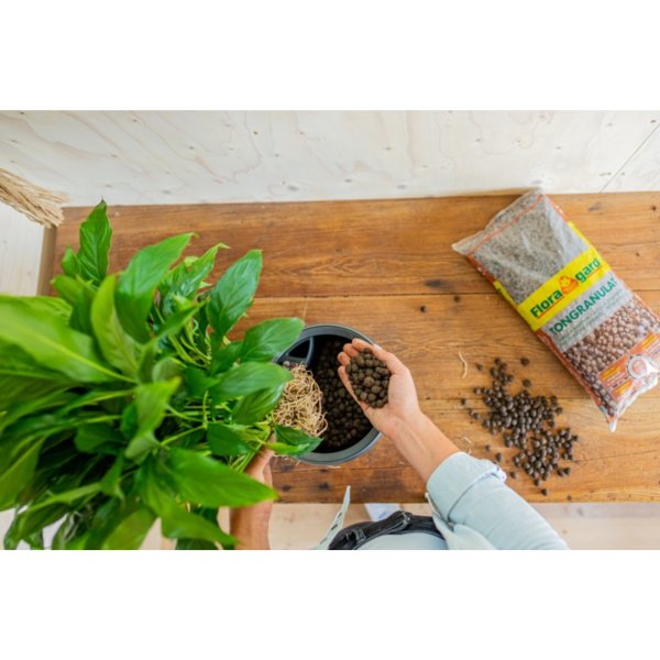 Floragard Tongranulat 5l 2St