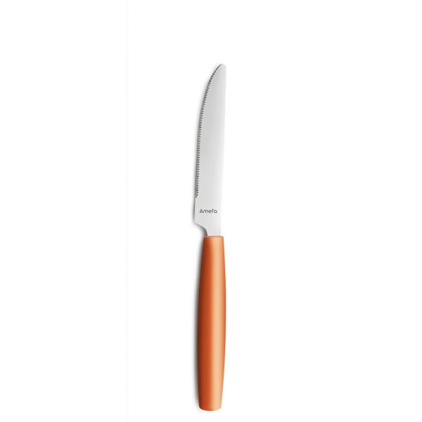 Amefa Menümesser 224mm mango 12St